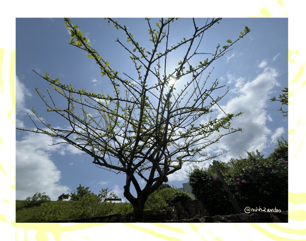 Lebadang Memory Space 2