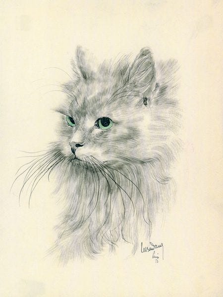 Lebadang Memory Space (2) meo